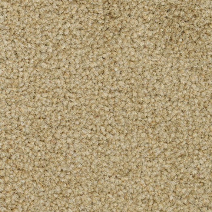 Alfombra Pelo FESTIVAL 10mm 820 grs/M²